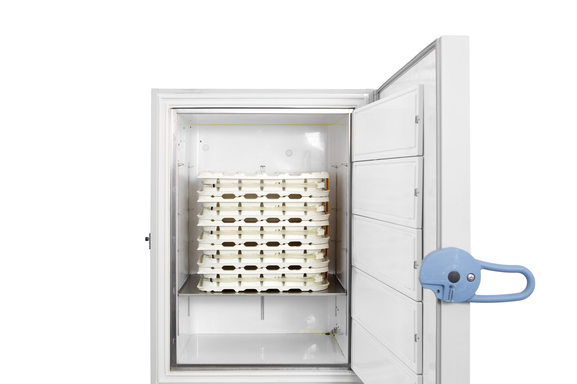 Sartorius Libra Elektronik