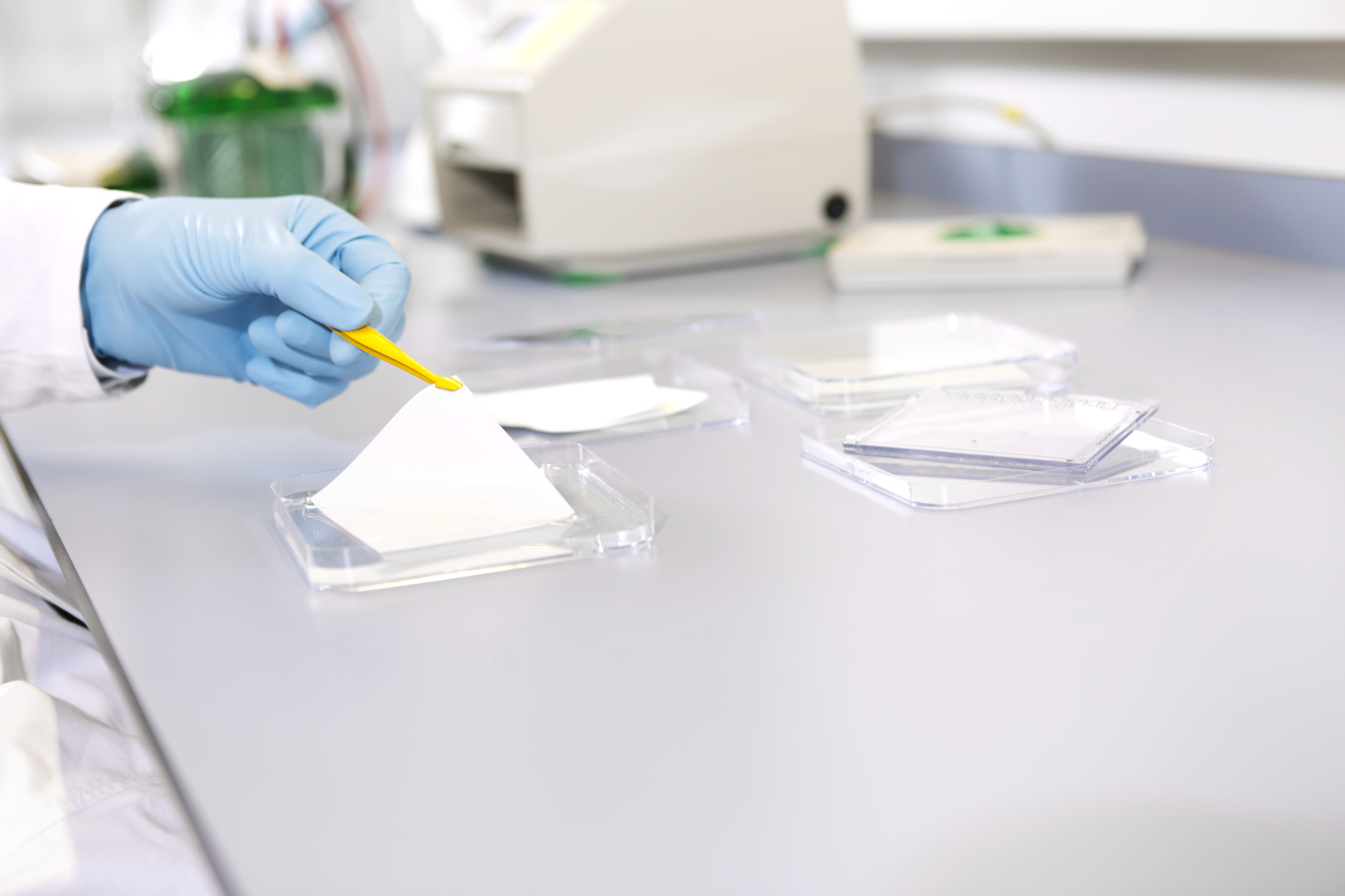 Sartorius Libra Elektronik