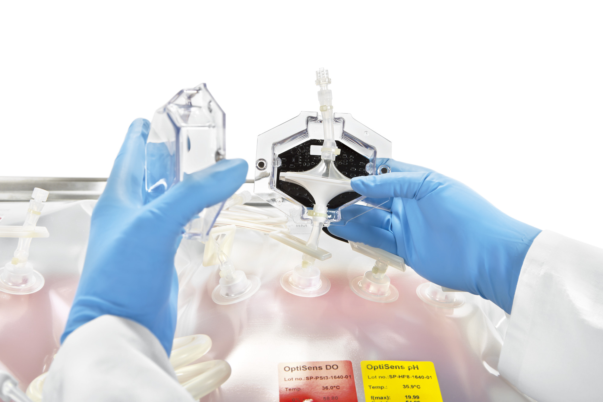 Sartorius Libra Elektronik