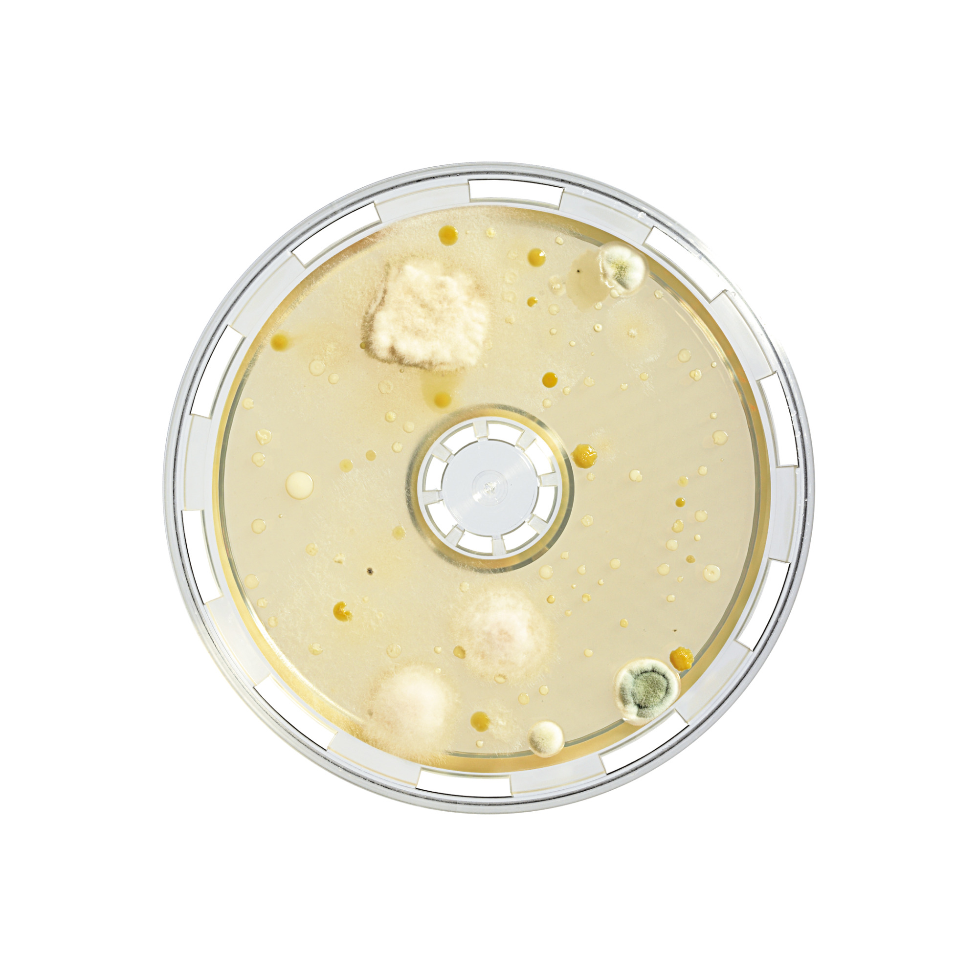 BACTair™ mediji - Sartorius Libra Elektronik