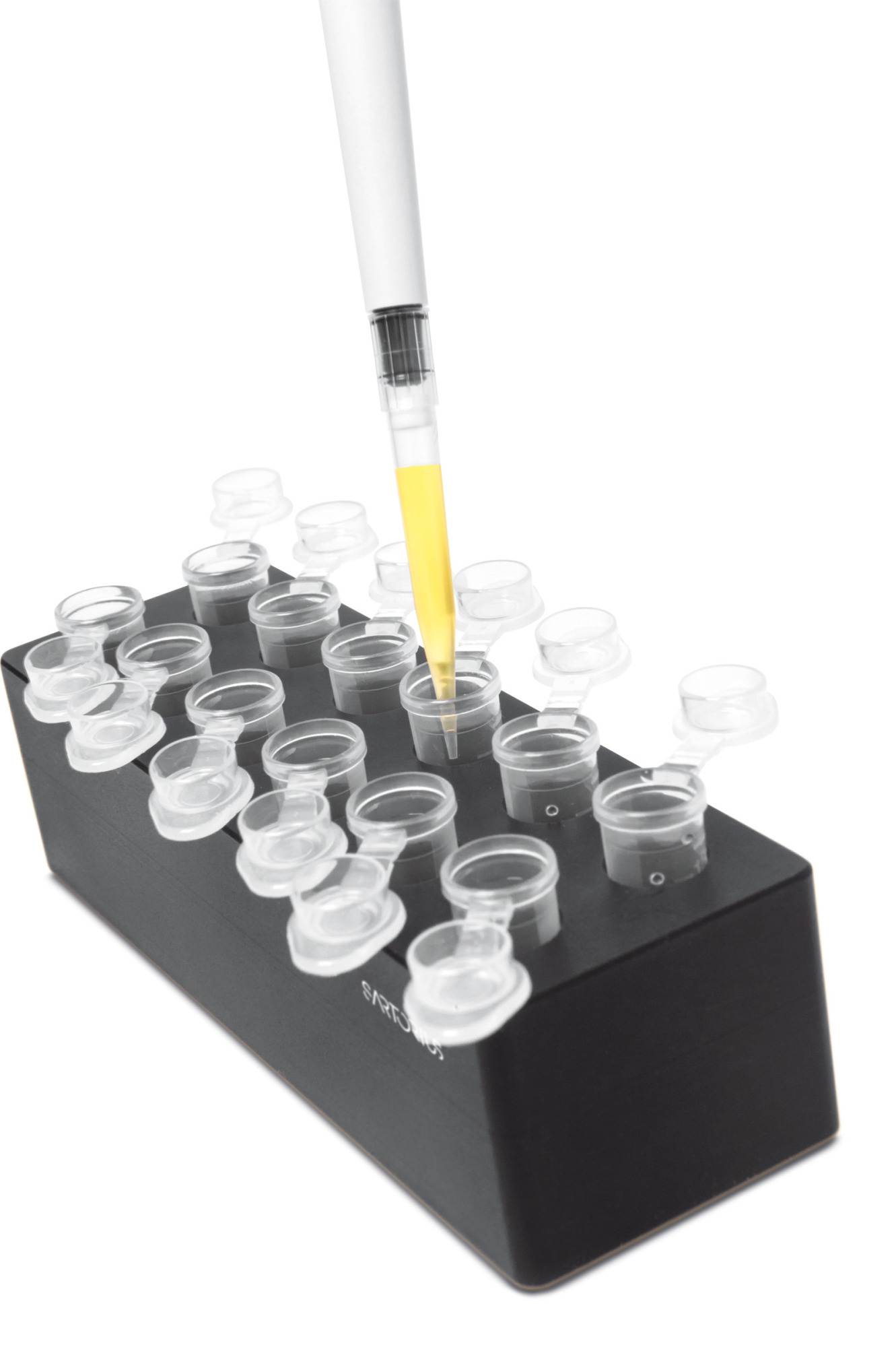 Sartorius Libra Elektronik