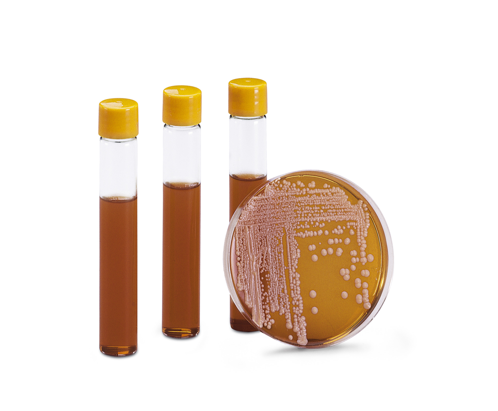 Hranjivi mediji - Sartorius Libra Elektronik