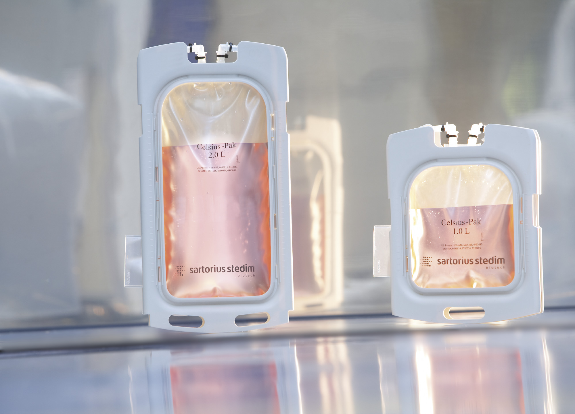 Sartorius Libra Elektronik