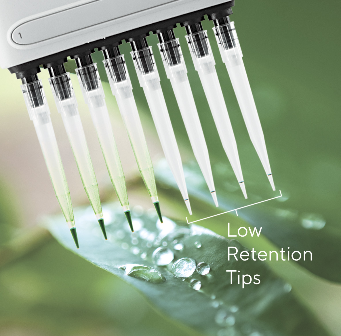 Sartorius Libra Elektronik