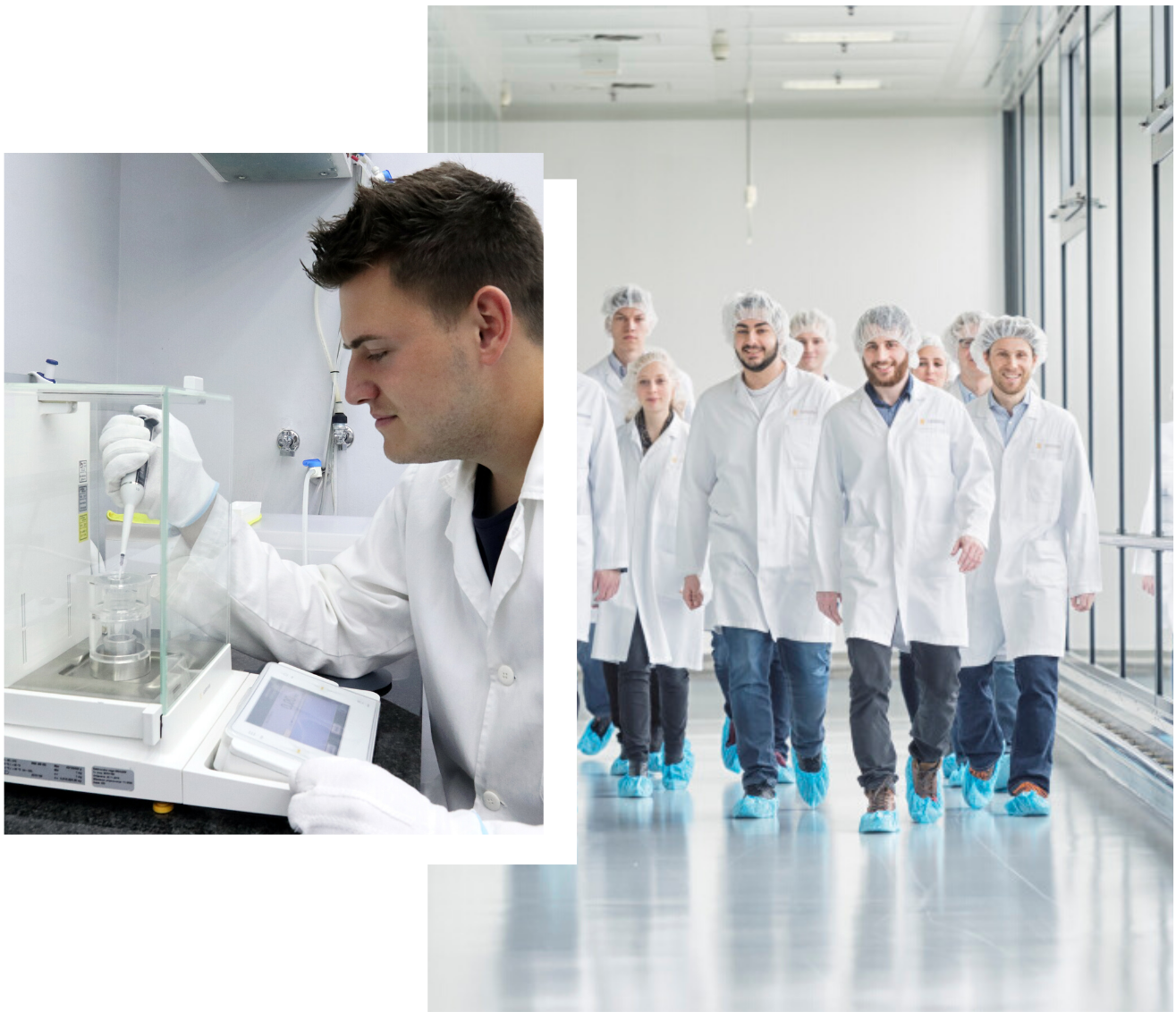 Sartorius Libra Elektronik