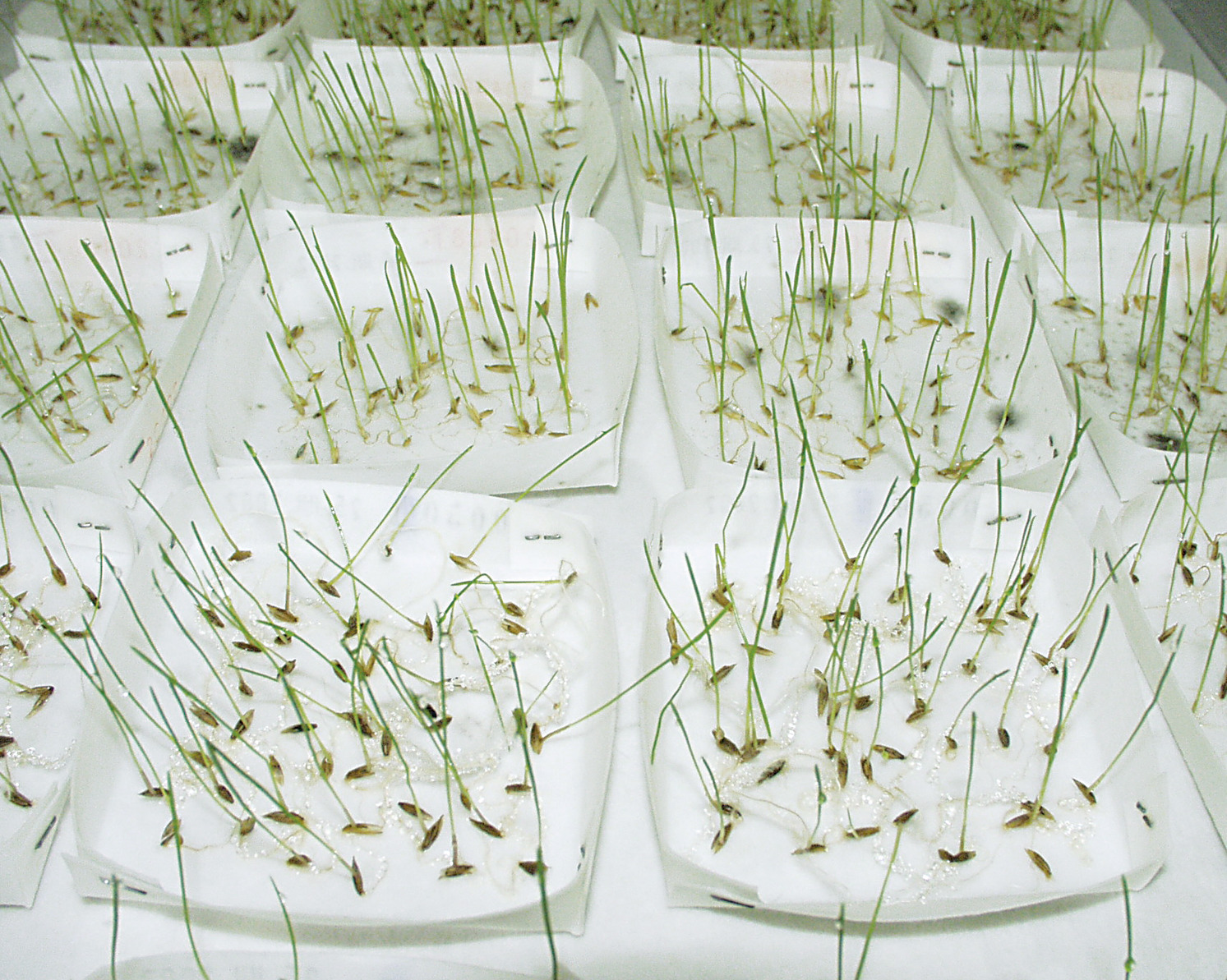 Filter papir | Kozmetička industrija - Sartorius Libra Elektronik